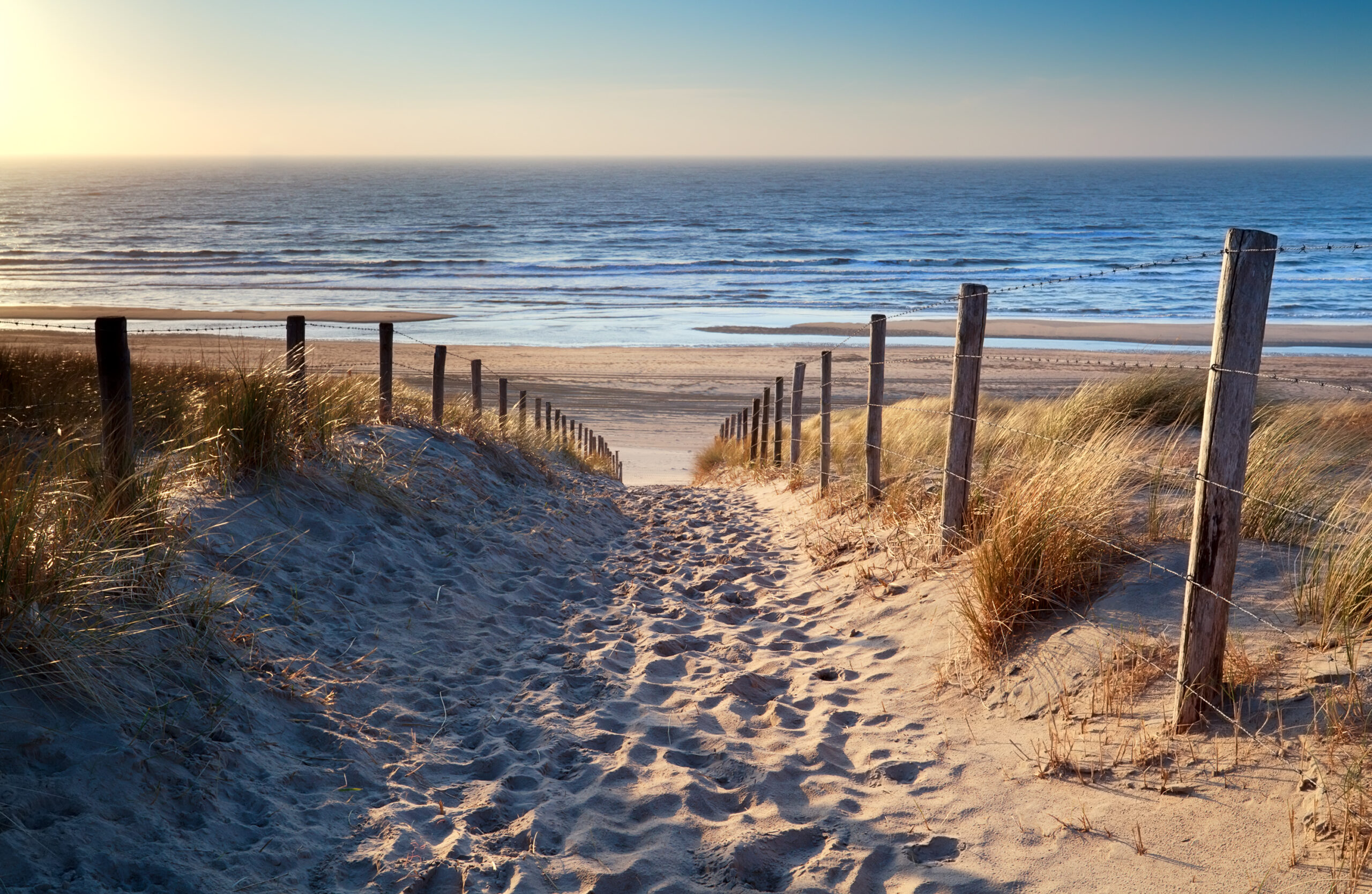 beach-sand